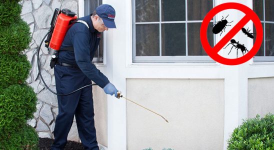 Rize Akrep İlaçlama böcek ilaçlama ve haşere kontrolü — ilaclama-tr.com